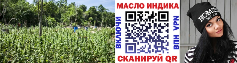 ТГК гашишное масло  Купить где  Грайворон 