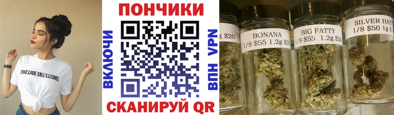 Бошки Шишки планчик  Купить закладки  Грайворон 